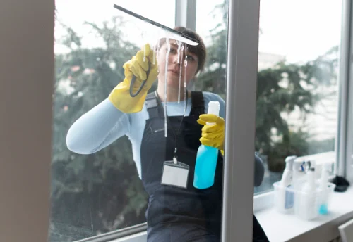 Nettoyage de vitres intérieures et extérieures à Molandier